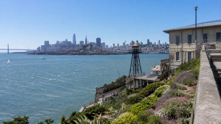 views and surroundings